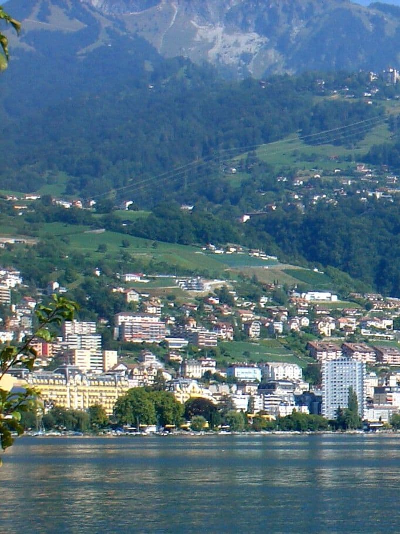 Immobilier de prestige à Montreux